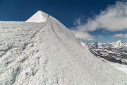 Sabato 22 Aprile 2017 – P.ta Zumstein e Parrot - FOTOGALLERY